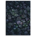 Canvasbillede, Blade af eksotiske planter