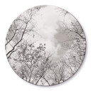 Tableau en verre Cimes des arbes dans le ciel - Rond