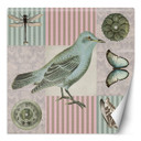 Fototapete, Shabby Chic Vogel auf rosa Hintergrund - Andrea Haase
