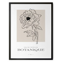 Plakat lineart flower beige - Treechild