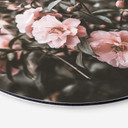 Tableau sur alu-Dibond Annie - Rosier - Rond