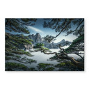 Akrylbillede Fyrreskov i Huang Shan-bjergene - NingYun Ye