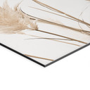 Wandbild Pampas - Sisi & Seb - Alu-Dibond