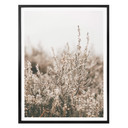 Plakat Annie - Trawy