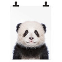 Plakat Sisi & Seb - Baby Panda