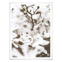 Plakat Annie - Jasmine