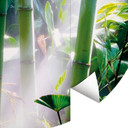 Bamboo Forest - Fototapeta okrągła - tapeta flizelinowa/tapeta flizelinowa samoprzylepna