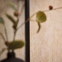 Ikke-vævet tapet i gipslook sandbeige - moderne mat tapet i betonlook 