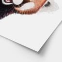 Plakat Red Panda - Korenkova
