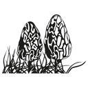Wallsticker Moreller