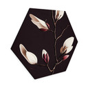 Hexagon Dibond Treechild - Magnolia Blossoms