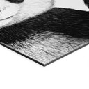 Vægmaleri vinkende panda - Korenkova – print på aluminium (Alu-Dibond)