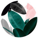Sticker mural Sisi & Seb - Feuilles - Rond