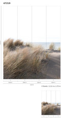 Fototapet med græs ved havet beige,Blomst 2,70 x 2,12 m