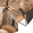 Annie - Delikatne kwiaty - Fototapeta okrągła - tapeta flizelinowa/tapeta flizelinowa samoprzylepna