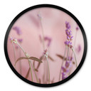 Plakat Delicate Lavender - okrągły