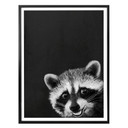 Plakat Graves - Racoon