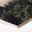 Hexagon Hout Mistig Bos