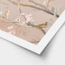 Poster Uccelli sui Fiori di Ciliegio - Cheney