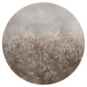 Pampagras en grassen Muursticker in beige - Ms Tiff - Rond