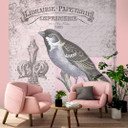 Fototapete, Vogel Natur auf rosa Hintergrund Shabby Chic - Andrea Haase