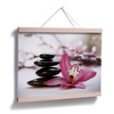 Orchidea z Plakatu