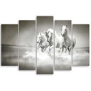 5 stykke lærredsprint, hvide heste galop