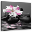 Canvasbillede, sten pink blomst Zen