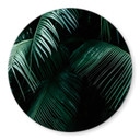 Tableau sur verre rond Botanique tropicale