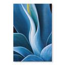 Akrylbillede Wechsler - Planter Stilleben Agave