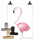 Plakat Kvilis - Pink Flamingo 01