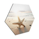 Hexagone - alu-Dibond Une étoile de mer étincelante sur une plage déserte