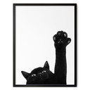 Poster Montre-moi ta patte chat - Korenkova