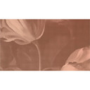 Livingwalls Fototapet Walls by Patel 2 dutch pastel 3