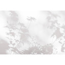 Fotomural Paredes de Patel 3 Shadow Room 2 gris, blanco