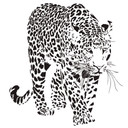 Wallsticker Leoparden