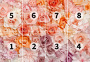 Blomster plakat 