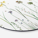 Tableau sur alu-Dibond rond Sir Edward - Prairie aux papillons
