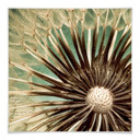 Plakat Dandelion Poetry - kwadratowy