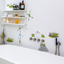 Wallsticker Frø Sæt