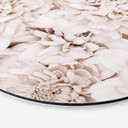 Tableau sur alu-Dibond 1X Studio - Reine marguerite abricot - Rond