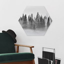 Hexagon Dibond Xu - Foggy Forest