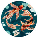 Wandtattoo Zwei Kois im Teich - SpaceFrog Designs - Rund