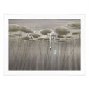 Poster lotusbloemen met zwaan in water in grijs - Ms Tiff