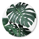 Glasschilderij Rond Sisi & Seb - Monstera