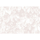 Architects Paper Papier peint photo Atelier 47 Light Leaves nature