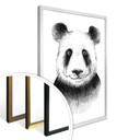 Plakat Kvilis - Miś panda