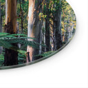 Glasbillede - Eukalyptus skov i Yarra Ranges - Colombo - Runde