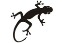 Wallsticker Gekko