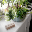 Kvilis borddekoration - Monstera-blad